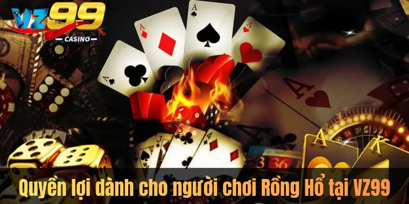Quyền lợi dành cho người chơi Rồng Hổ tại VZ99